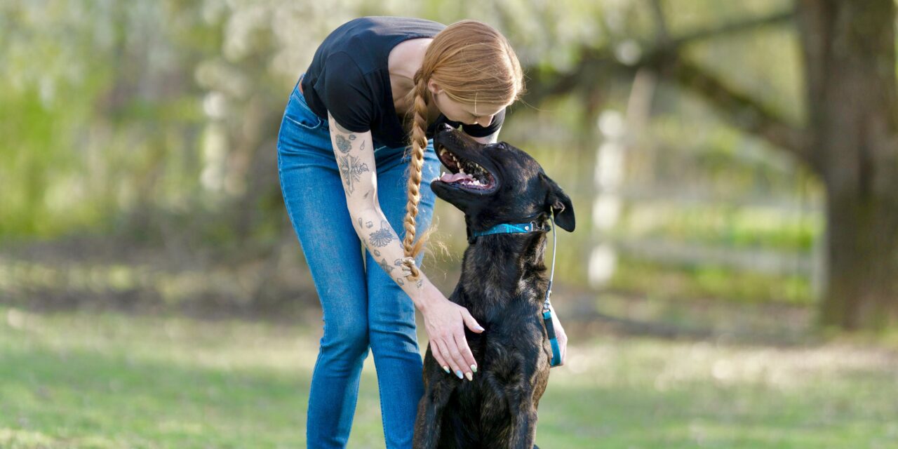 Why Purely Positive Dog Training Doesn’t Work