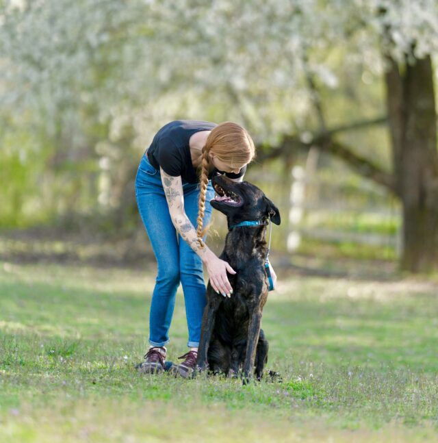 Why Purely Positive Dog Training Doesn’t Work
